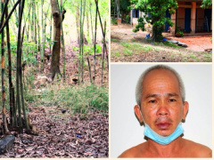 Ảnh bìa bài viết 684658