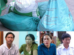 Ảnh bìa bài viết 684885