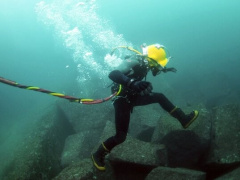 Ảnh bìa bài viết 684927