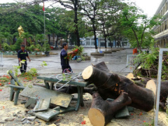 Ảnh bìa bài viết 684947