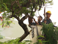 Ảnh bìa bài viết 685014