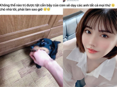 Ảnh bìa bài viết 684979