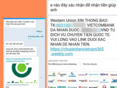 Ảnh bìa bài viết 684999