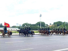 Ảnh bìa bài viết 685327