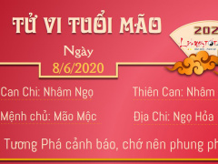 Ảnh bìa bài viết 685476