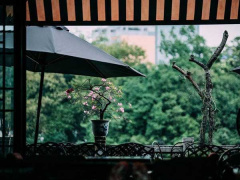 Ảnh bìa bài viết 685543