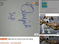 Ảnh bìa bài viết 686504