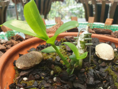 Ảnh bìa bài viết 686513