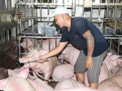 Ảnh bìa bài viết 686640