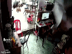 Ảnh bìa bài viết 686871