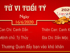 Ảnh bìa bài viết 686933