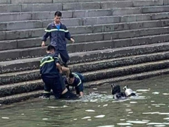 Ảnh bìa bài viết 687974