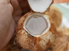 Ảnh bìa bài viết 688269