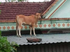 Ảnh bìa bài viết 688402