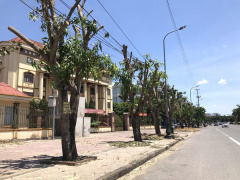 Ảnh bìa bài viết 688380