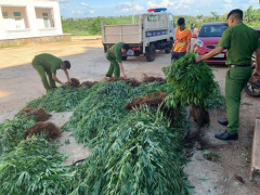 Ảnh bìa bài viết 688463