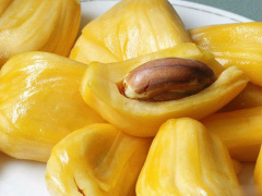 Ảnh bìa bài viết 688702