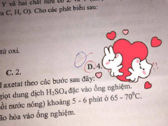 Ảnh bìa bài viết 689076