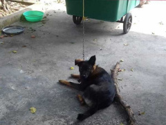 Ảnh bìa bài viết 689271