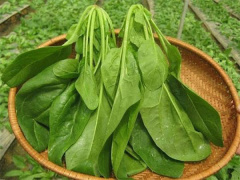 Ảnh bìa bài viết 690065