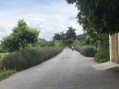 Ảnh bìa bài viết 690002