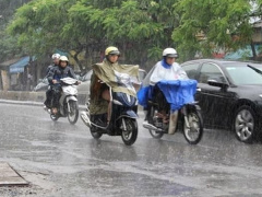 Ảnh bìa bài viết 690086