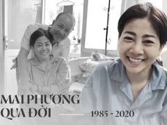 Ảnh bìa bài viết 690364