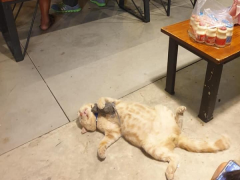Ảnh bìa bài viết 690256