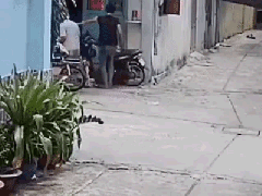 Ảnh bìa bài viết 691013