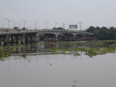 Ảnh bìa bài viết 691124
