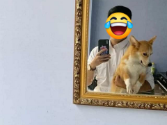 Ảnh bìa bài viết 691553