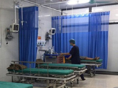 Ảnh bìa bài viết 691540