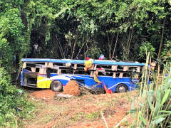 Ảnh bìa bài viết 691546