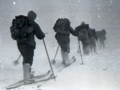 Ảnh bìa bài viết 691857