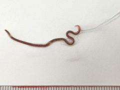 Ảnh bìa bài viết 691981