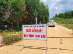Ảnh bìa bài viết 692081