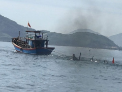Ảnh bìa bài viết 692309