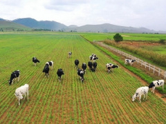 Ảnh bìa bài viết 692371