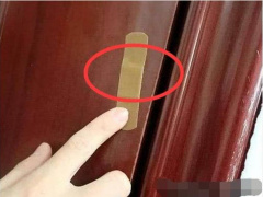 Ảnh bìa bài viết 692687