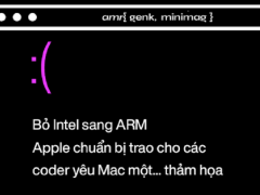 Ảnh bìa bài viết 692806
