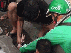 Ảnh bìa bài viết 692890