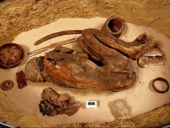 Ảnh bìa bài viết 693043