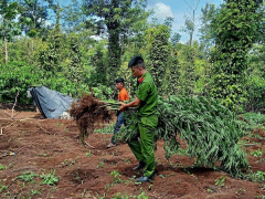 Ảnh bìa bài viết 693106