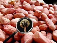 Ảnh bìa bài viết 693058