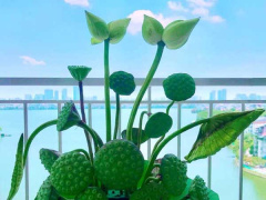 Ảnh bìa bài viết 693382