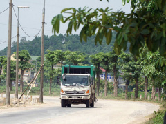 Ảnh bìa bài viết 693541