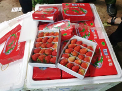 Ảnh bìa bài viết 693544