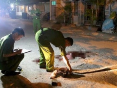 Ảnh bìa bài viết 694102