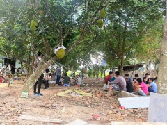 Ảnh bìa bài viết 694861