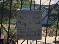 Ảnh bìa bài viết 695102